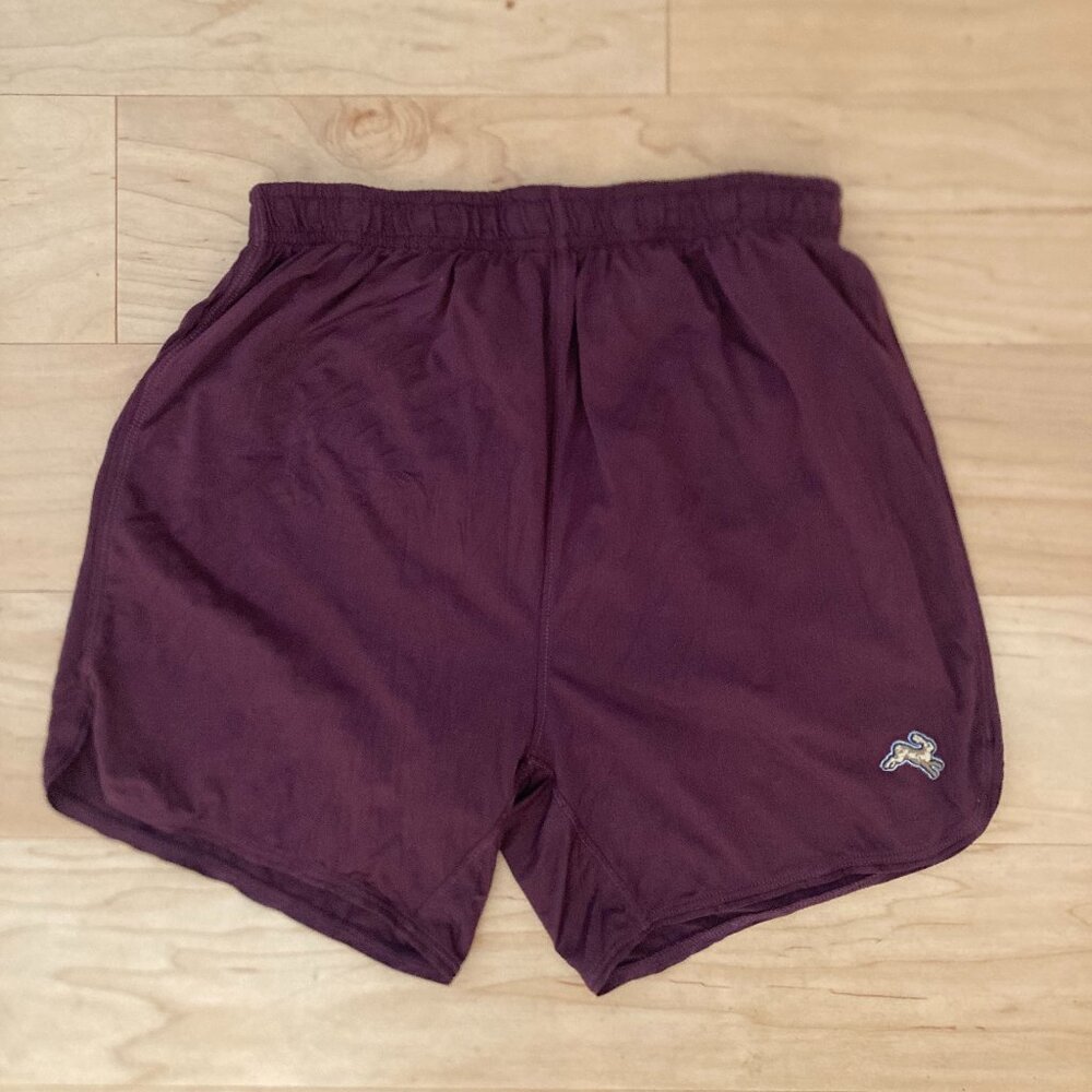 Tracksmith Session Shorts